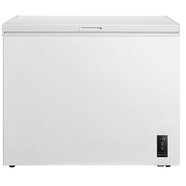 Arca Horizontal EDESA EZH2331NF | 233L, Classe E