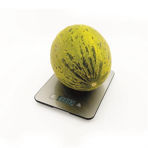 Balança de Cozinha Jata 719 | 15kg, 1g, Aço Inoxidável