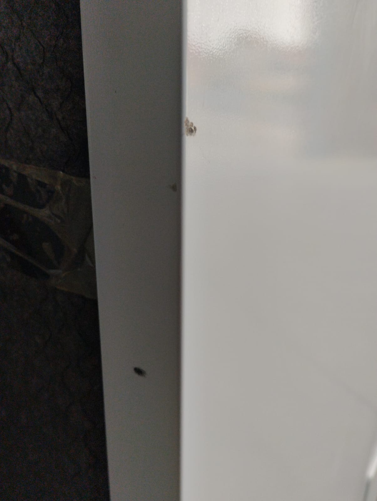 Outlet | Máquina de Lavar Loiça Whirlpool WFE2B17 | 13 talheres, F