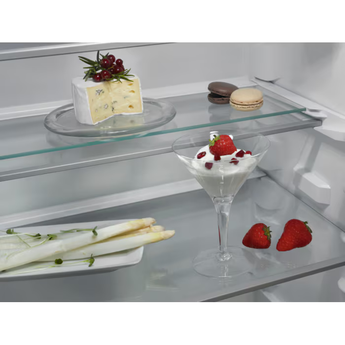 Frigorífico Encastre AEG NSK6D181DC | 310L, Classe D, 32dB