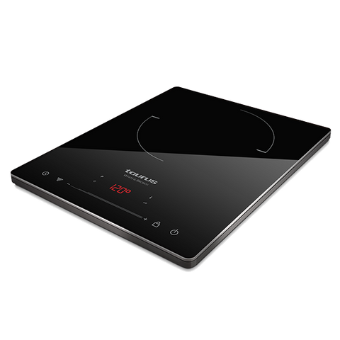 PLACA ELÉTRICA TAURUS DARKFIRE - 974.670