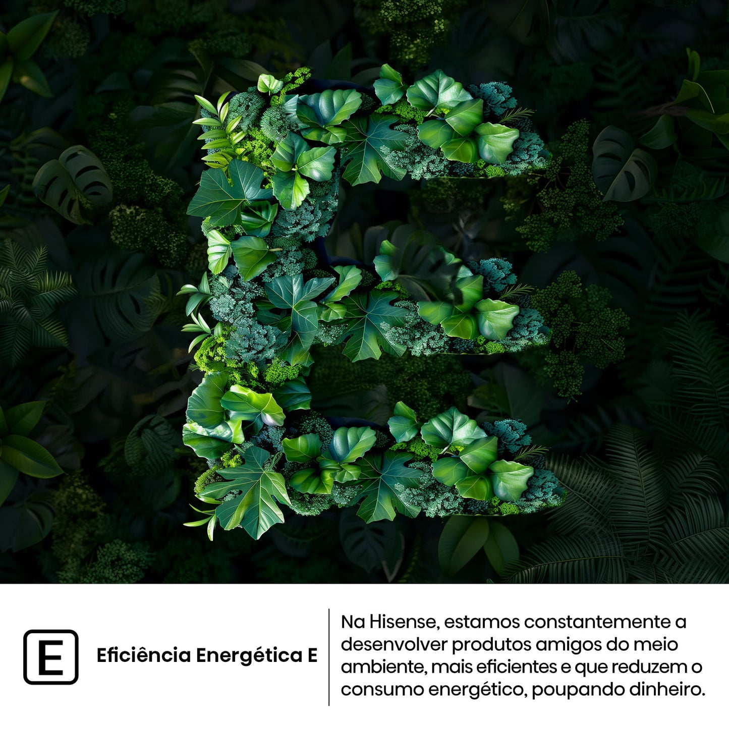 Frigorífico Americano Hisense RQ5P605NSVE | 591L, No Frost, Classe E