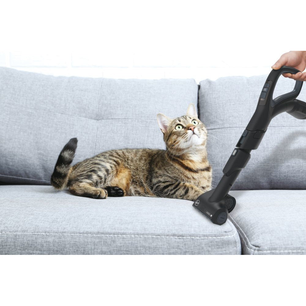 processed_sq_dl_1753301387362