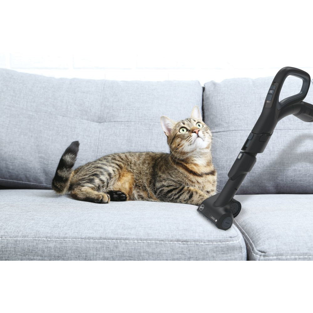 processed_sq_dl_1753301412554