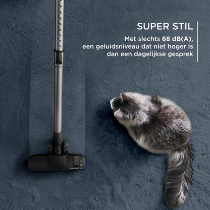 processed_sq_dl_1753303040551