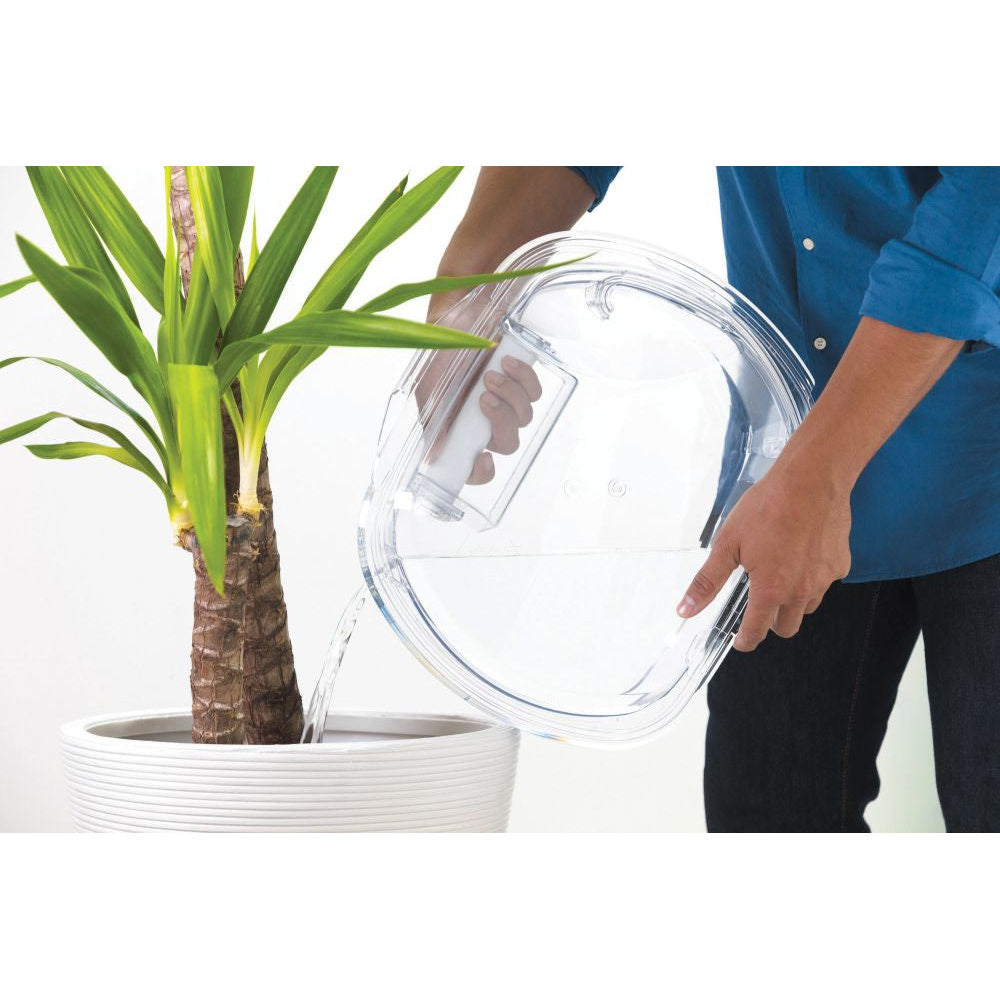 processed_sq_dl_1753304037527