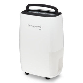 processed_sq_dl_1753308508874