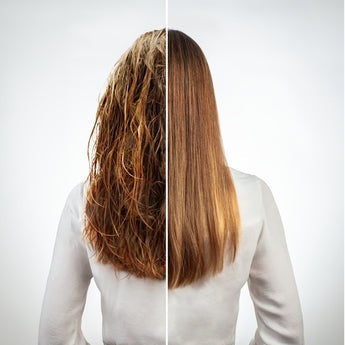 processed_sq_dl_1753311960580