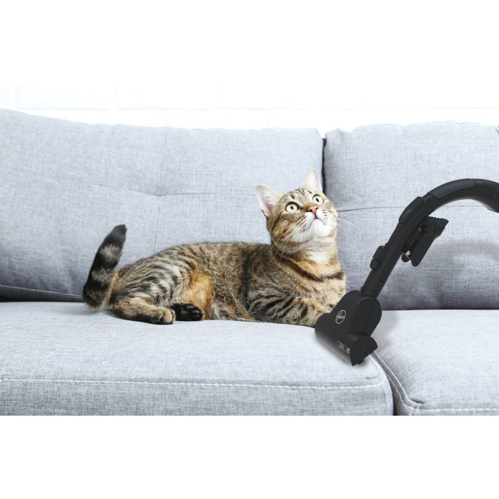 processed_sq_dl_1753316509850