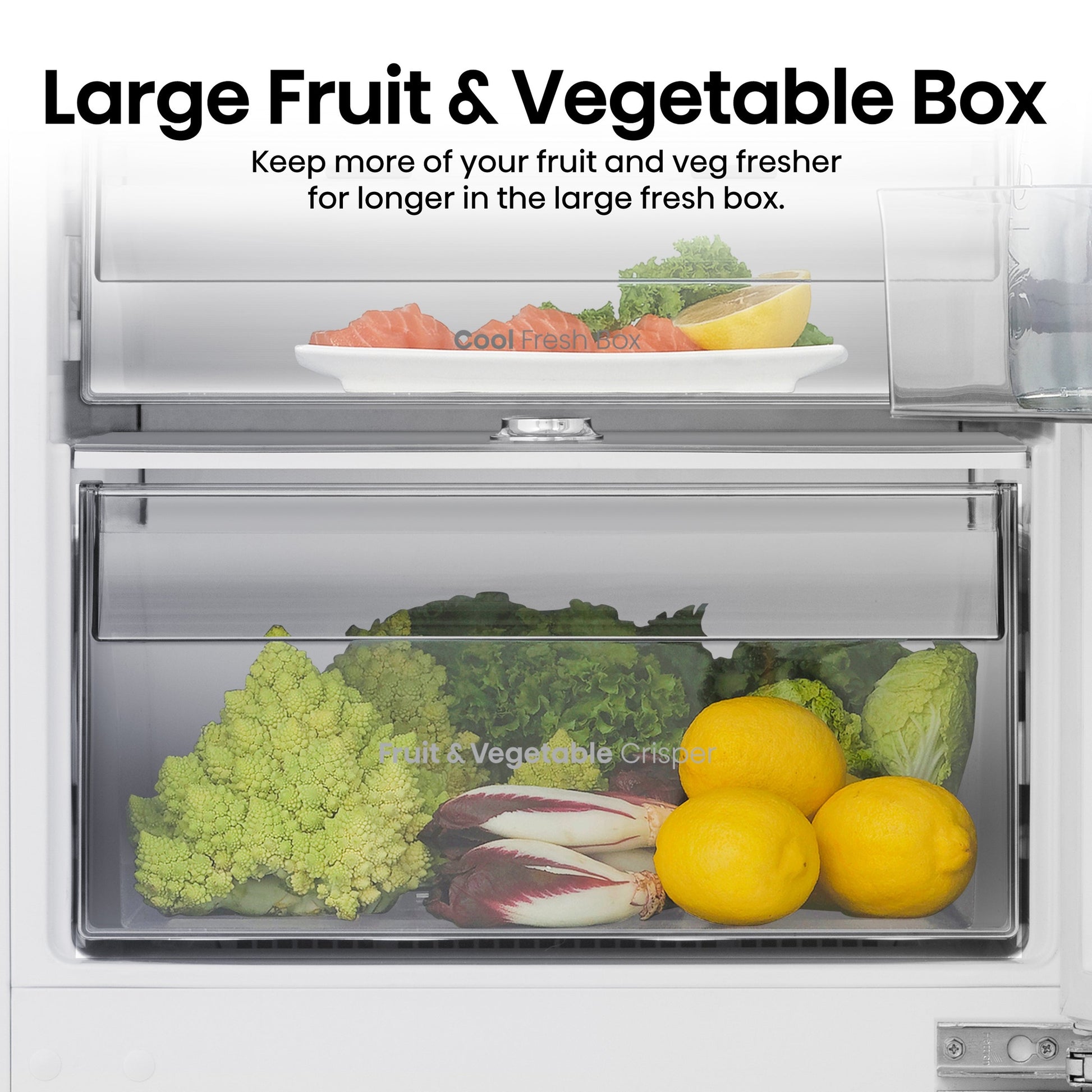 processed_sq_dl_1753317177411