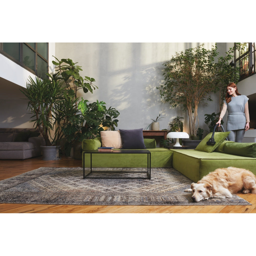 processed_sq_dl_1753322074273