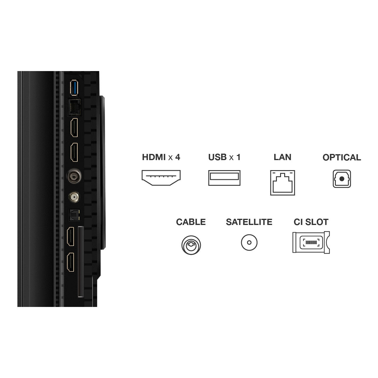 processed_sq_dl_1753323314497