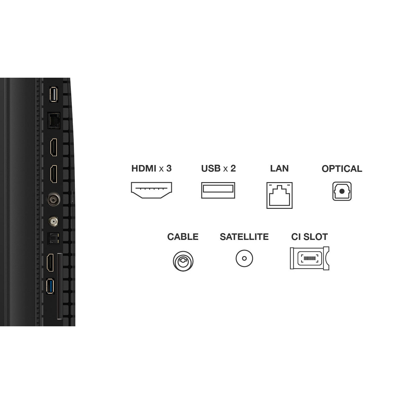 processed_sq_dl_1753323459887