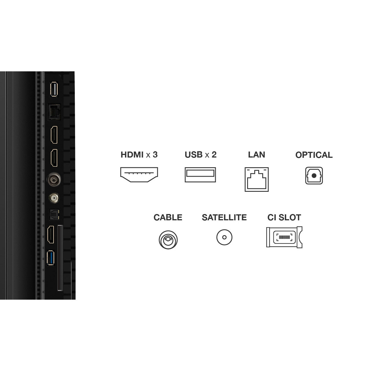 processed_sq_dl_1753324312533