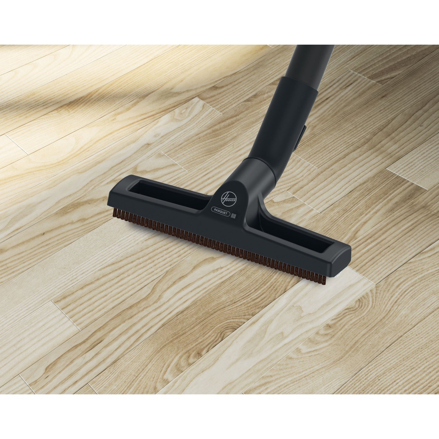 processed_sq_dl_1753325939526